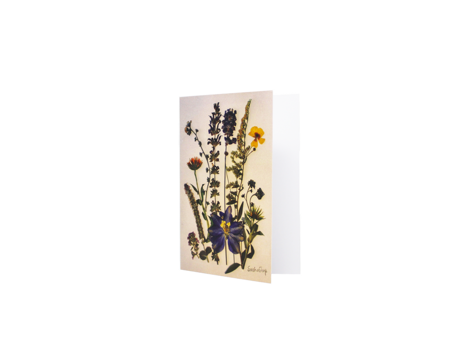 Sasha Sheppard Art Studio Floral Cards