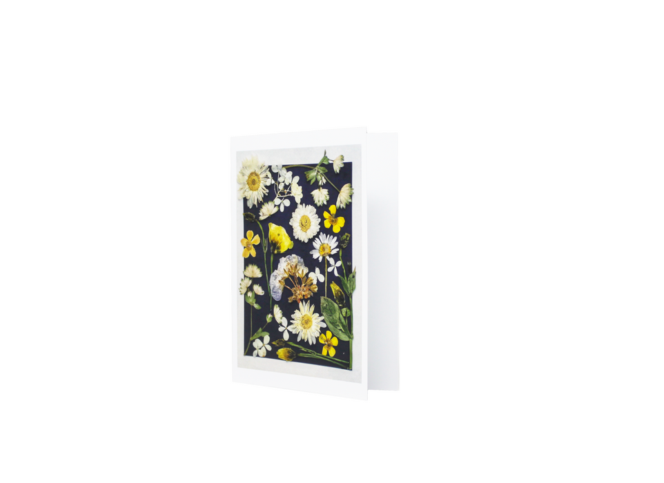Sasha Sheppard Art Studio Floral Cards