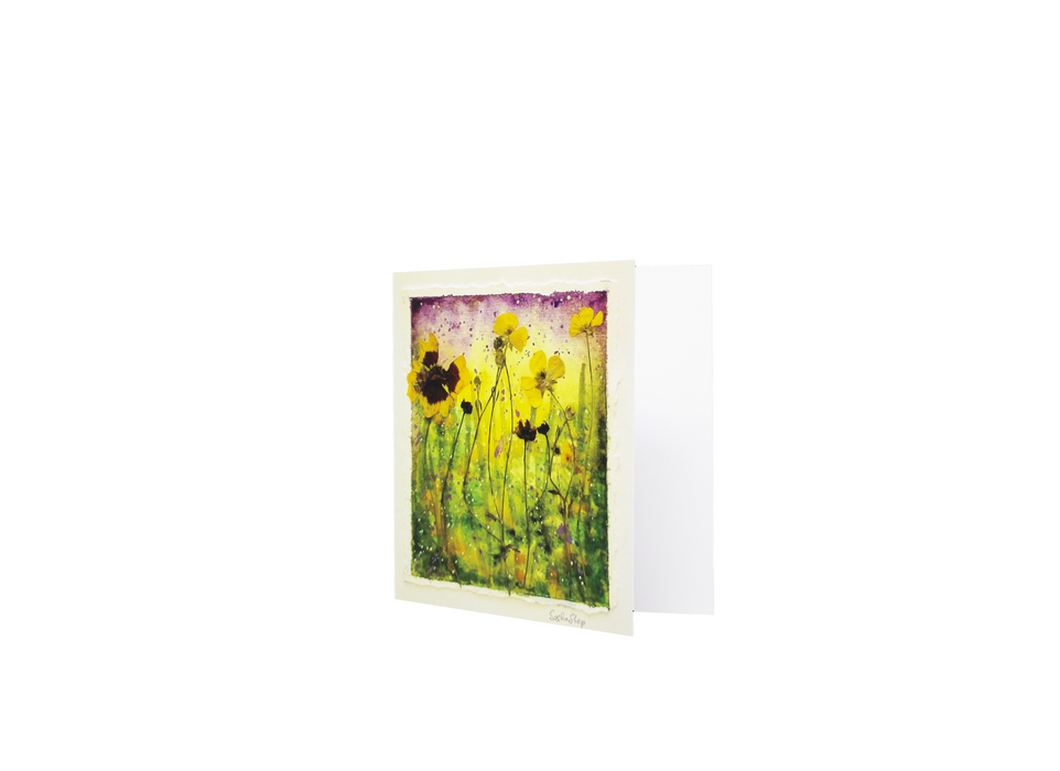 Sasha Sheppard Art Studio Floral Cards