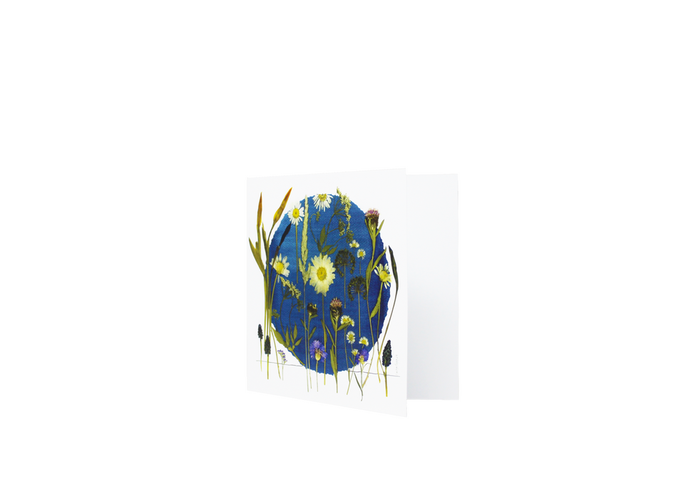 Sasha Sheppard Art Studio Floral Cards