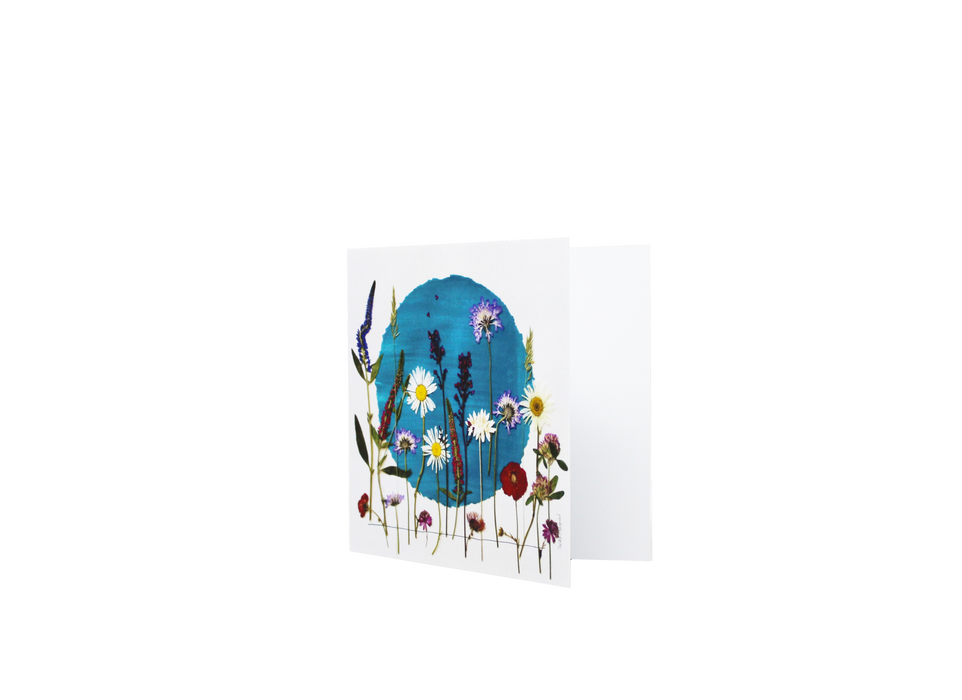 Sasha Sheppard Art Studio Floral Cards