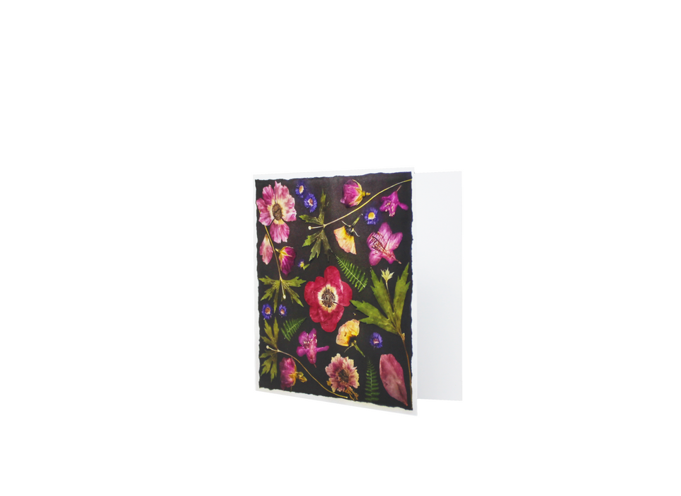 Sasha Sheppard Art Studio Floral Cards