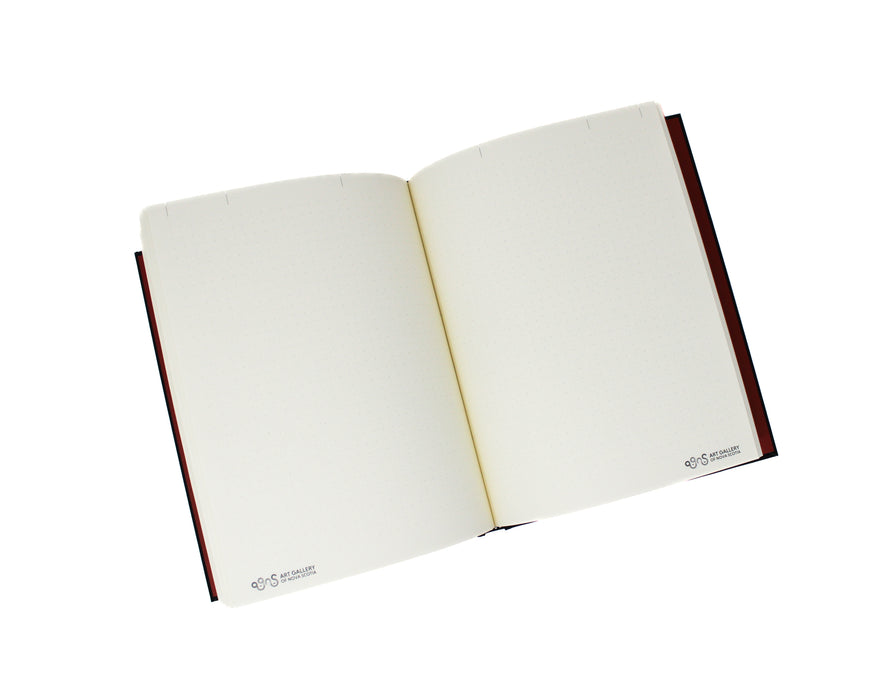 AGNS notebook