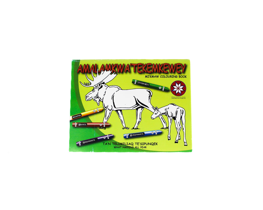 Amalamkwa’Tekemkewey: Mi’kmaw Colouring Book