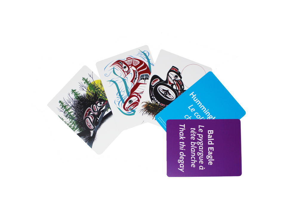 Flash Cards - Indigenous Collection by CAP