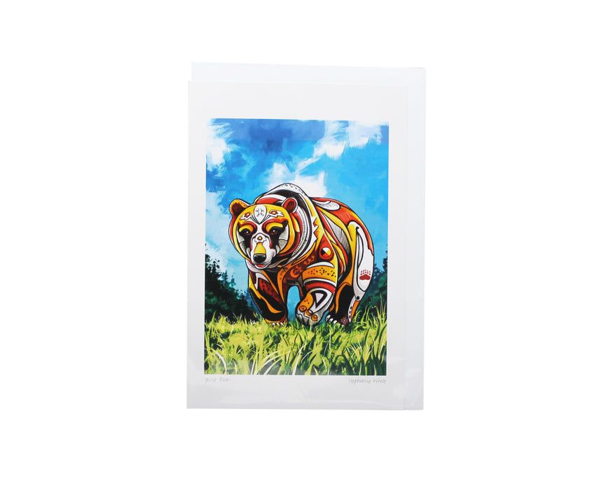Art Cards - Indigenous Collection by CAP