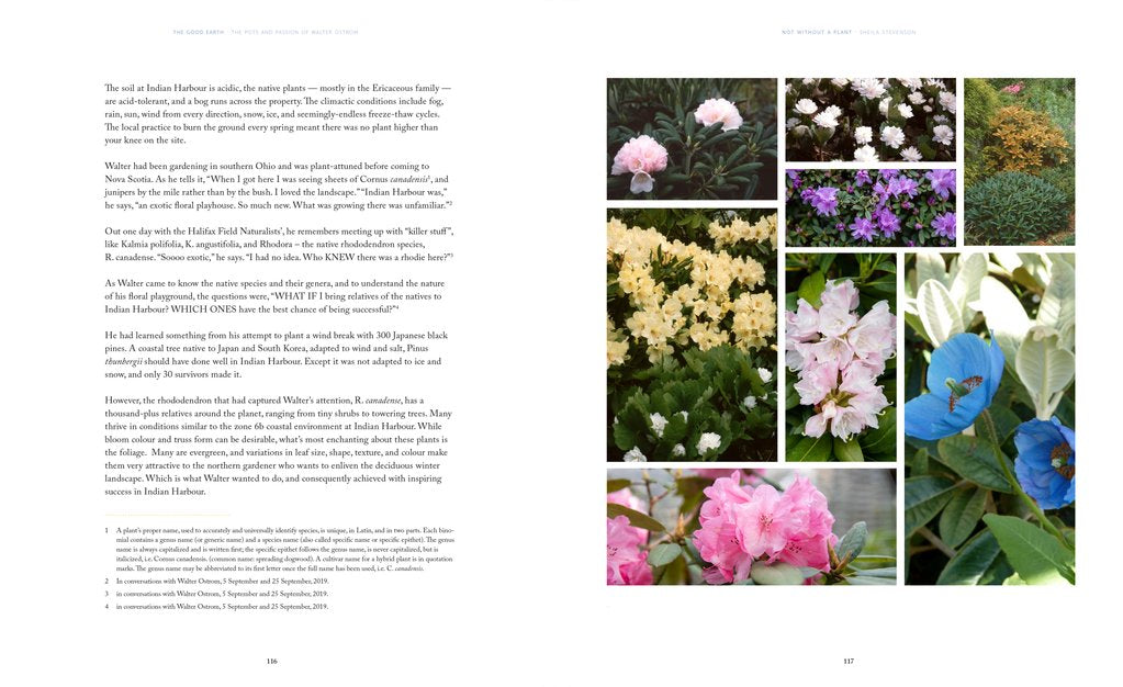 Good Earth: The Pots and Passion of Walter Ostrom