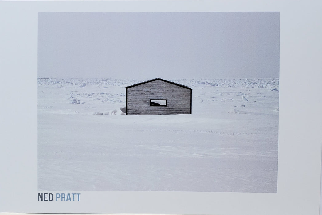 Ned Pratt Greeting Card: Façade Northern Peninsula