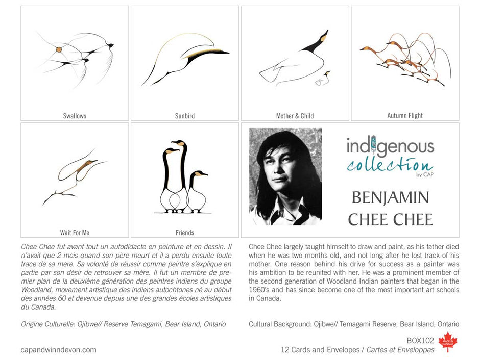 Box Set Note Cards - Indigenous Collection by CAP