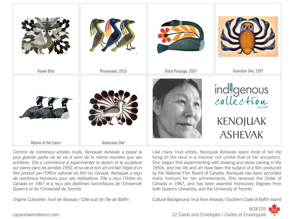 Box Set Note Cards - Indigenous Collection by CAP