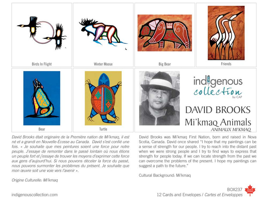 Box Set Note Cards - Indigenous Collection by CAP