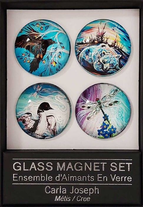 Glass Magnet Set of 4 - Indigenous Collection by CAP