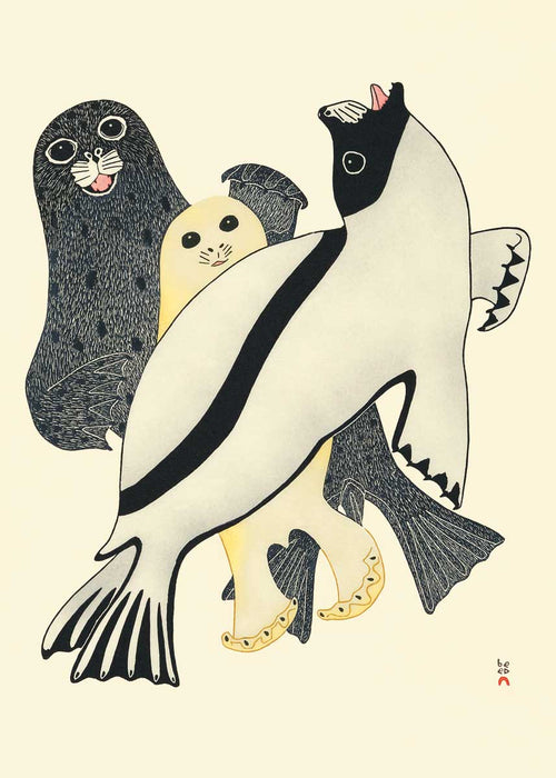 Magnets - Indigenous Collection by CAP