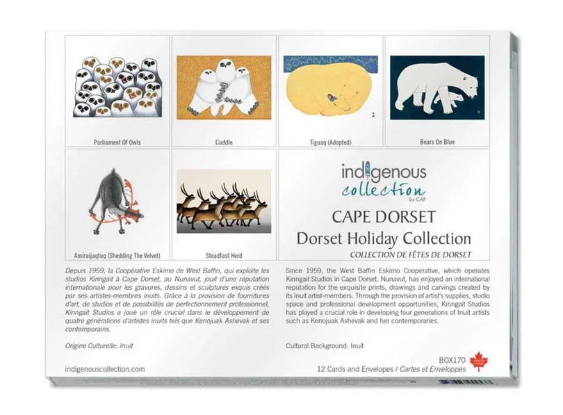 Holiday Box Set Note Cards - Indigenous Collection by CAP
