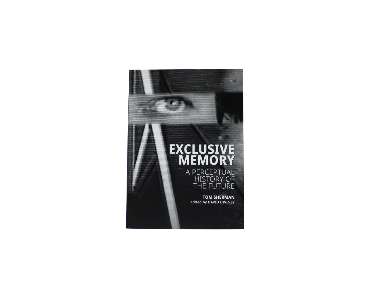 Exclusive Memory: A Perceptual History of the Future — Art Gallery of ...