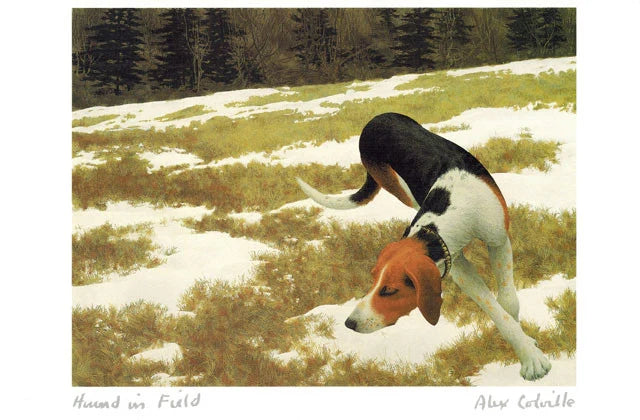 Alex Colville Greeting Cards