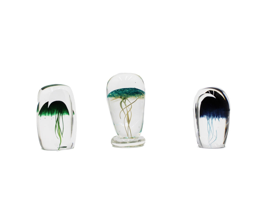 Blue Carrick Glass Studio