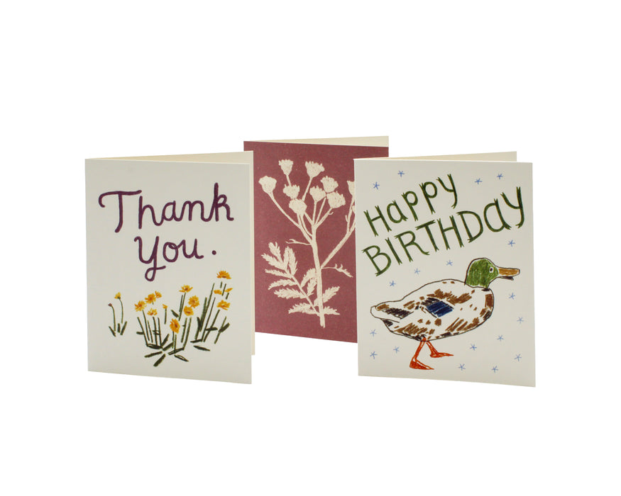 Laura K. Watson - Greeting Cards