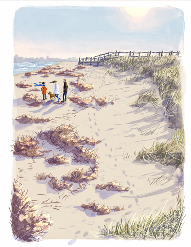 Julep & Trubbs Studio - Greeting Cards