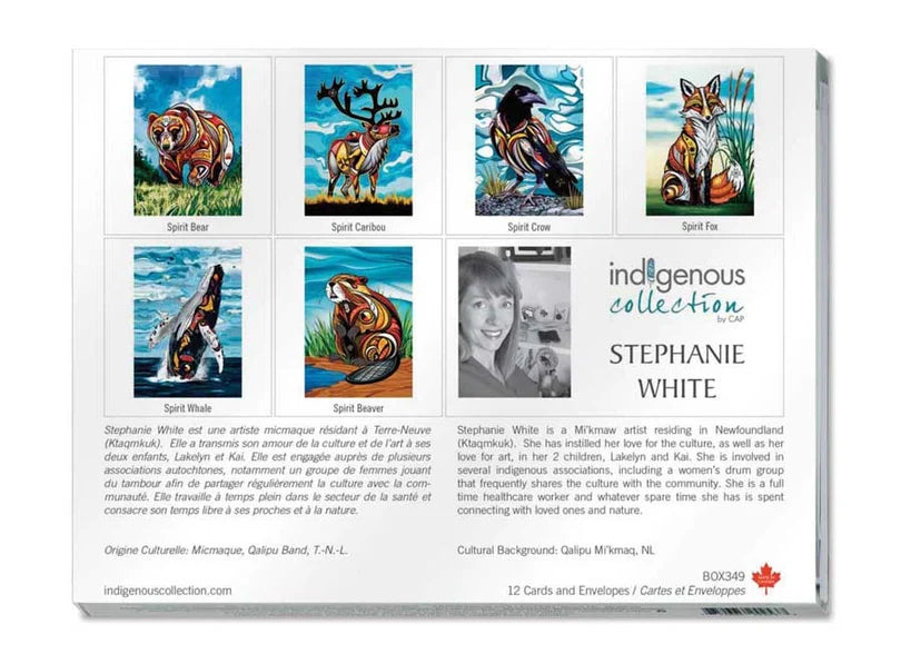 Box Set Note Cards - Indigenous Collection by CAP