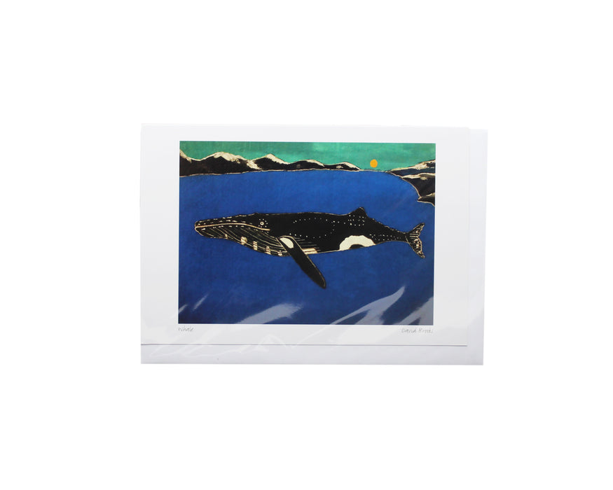 Art Cards - Indigenous Collection by CAP