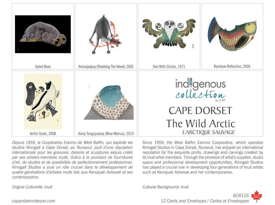 Box Set Note Cards - Indigenous Collection by CAP